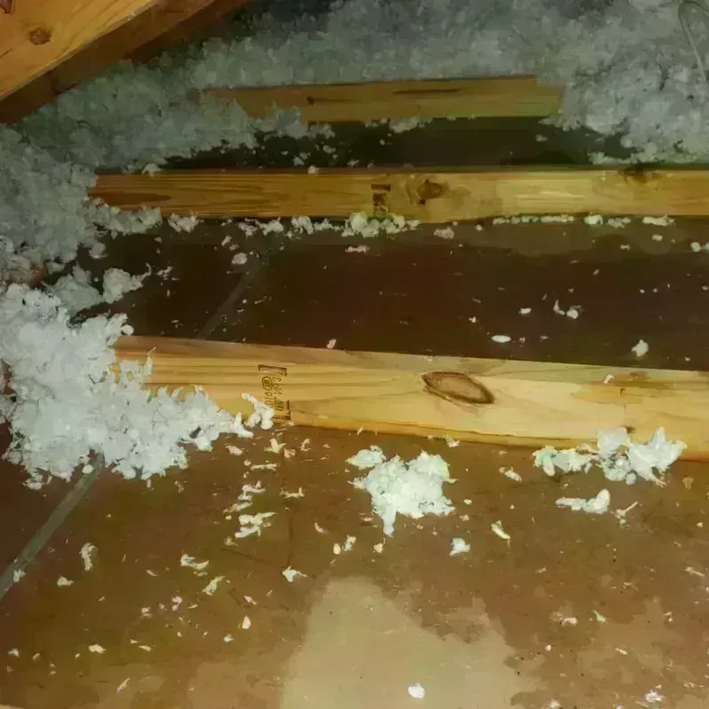 Attic Water Damage in Meadowlakes, TX