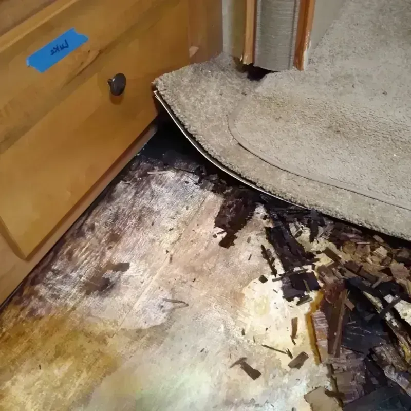 Wood Floor Water Damage in Meadowlakes, TX